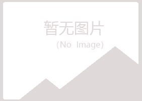 东宁县女孩会计有限公司